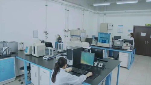 有研集團(tuán)國家動(dòng)力電池質(zhì)檢中心 以專業(yè)定制化服務(wù)創(chuàng)新驅(qū)動(dòng)北京技術(shù)服務(wù)業(yè)升級(jí)